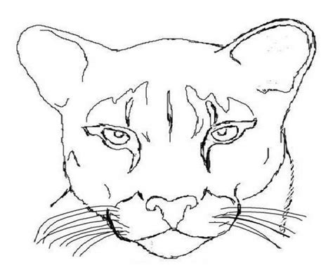 mountain lion coloring page coloring pages  kids   adults