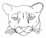 Cougar Coloring Pages Lion Mountain Easy Drawing Color Animal Kids Print Adults Panther Printable Puma Drawings Clipart Getcolorings Simple Dorable sketch template