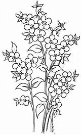 Ricamare Fleurs Disegno Ricamo Broderie Motifs Gratuits Motivi Mazzo Floreali Rysunki Dla Tons Coloriage Visita Disegnare Mughetti Swojej Ergoxeiro Grilles sketch template