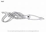 Squid Giant Draw Step Drawing Tutorials Squids Drawingtutorials101 sketch template