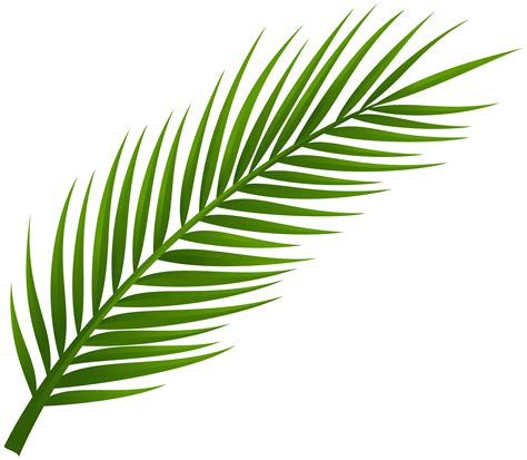 palm fronds clipart clipground