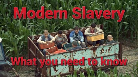 modern slavery what you need to know