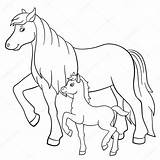 Fattoria Madre Colorare Puledro Cavallo Animali sketch template