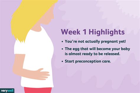 can you experience pregnancy symptoms after 1 week pregnancywalls