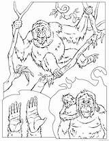 Chimpanzee Coloring4free sketch template