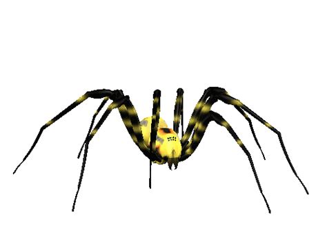 fast moving spider clipart   cliparts  images