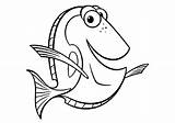 Dory Coloriage Nemo Colorare Disegno Dori Colorier Coloriages Pesce Pesci Squalo Marlin Cartoni sketch template