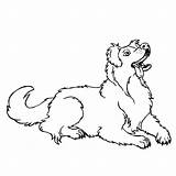 Australian Shepherd Coloring Pages Dog Cattle Lineart Drawing Getcolorings Printable Color Library Deviantart Popular Coloringhome Related sketch template