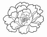 Carnation Coloring Pages Clipart Flower Flowers Drawing Line Shapes Printable Simple Silhouette Kids Library sketch template