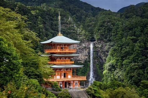 kumano kodo trail  pilgrimage route japan  wandering soles
