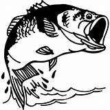 Bass Fish Fishing Coloring Pages Water Jumping Drawing Clipart Color Silhouette Svg Tocolor Jump Print Getdrawings Place Fisherman Colouring Easy sketch template