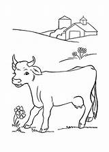 Kuh Cow Malvorlagen Drucken sketch template