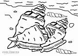 Muschel Seashell Ausmalbilder Ausmalbild Cool2bkids Ausdrucken sketch template