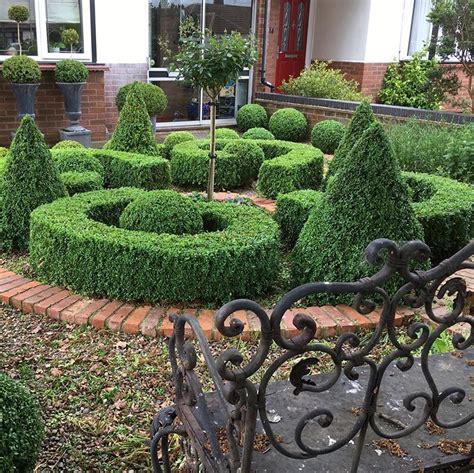 Пин на доске Garden Topiary Boxwood Greenhedges