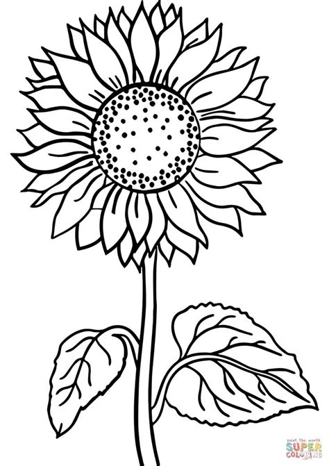 sunflower super coloring sunflower coloring pages sunflower