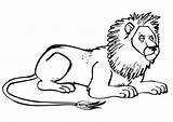 Leu Leeuw Kleurplaat Malvorlage Colorat Lowe Planse Savana Leones Malvorlagen Tiere Einfach Kleurplaten Loewe Stampare sketch template