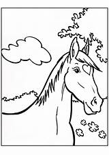 Paard Paardenhoofd Dieren Amika Horse Paarden Printen Kleur Leukekleurplaten A4 Uitprinten Colouring Alfabet Leuke Downloaden sketch template