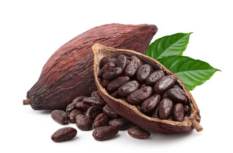 thousand cocoa beans royalty  images stock  pictures