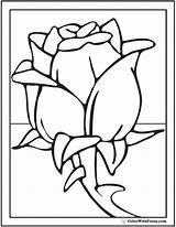Rose Coloring Preschool Pages Printable Pdf Long Stem Colorwithfuzzy Printables Kids sketch template