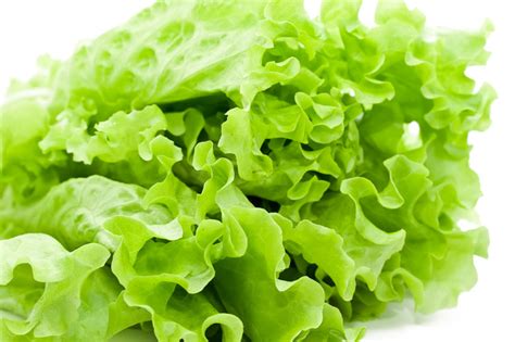 lets talk  lettuce  amateur gourmet