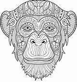 Chimpanzee Coloring Getdrawings Pages sketch template