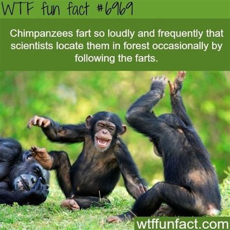 wtf fun facts collection barnorama