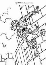 Coloring Spider Pages Man Spiderman Amazing Color Scales Walls Print Electro Heroes Hellokids Super Getcolorings Printable sketch template