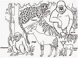 Kebun Binatang Mewarnai Gambar Sketsa Pemandangan Jungle Putri Putra Dunia Anak Preschool Coloriages sketch template