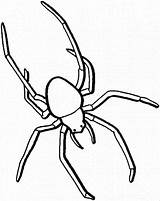 Spider Coloring Pages Kids Printable Spiders Clipart Color Print Gif sketch template