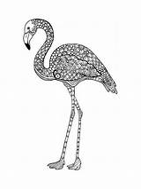 Coloring Pages Flamingo Zentangle Adults Adult Mycoloring Printable sketch template