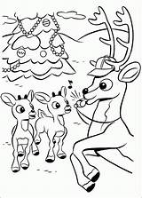 Rudolph Coloring Pages Reindeer Christmas Red Nosed Printable During sketch template