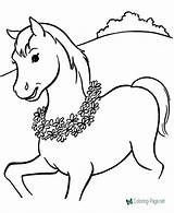 Horse Coloring Pages Printable Color Below Click sketch template