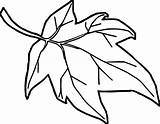 Leaf Leaves Cartoon Coloring Pages Fall Drawing Maple Outline Autumn Jungle Holly Color Clip Pumpkin Simple Kids Printable Drawings Template sketch template
