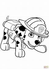 Paw Patrol Coloring Pages Characters Getcolorings Marshall sketch template