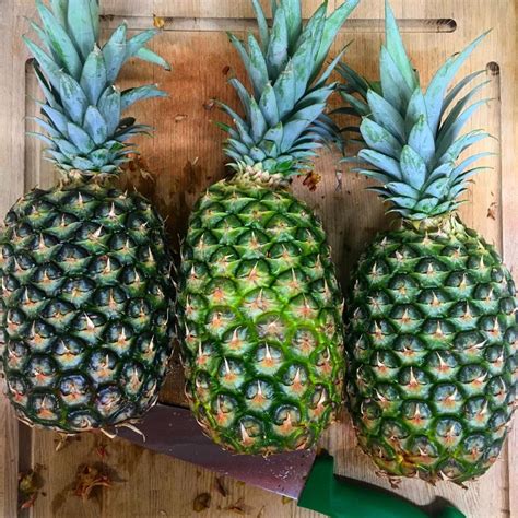 pineapple bay gimlet bar drinks