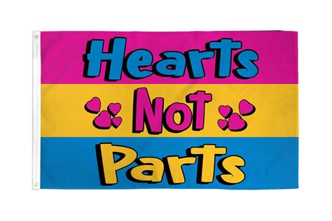 Pansexual Pride Hearts Not Parts Flag