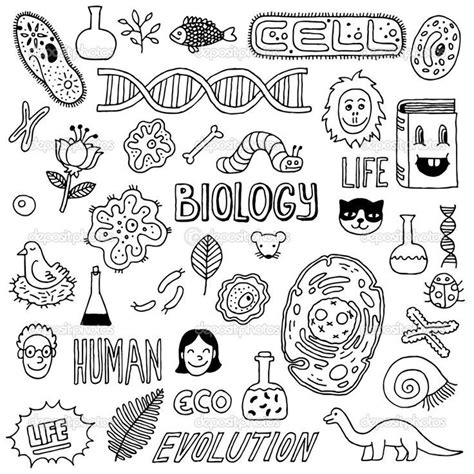 biologie deckblatt zeichnen