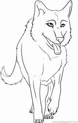 Draw Wolf Cartoon Anime Easy Step Clipart Coloring Alpha Wolves Pages Printable Kids Drawing Animals Drawings Color Dragoart Forest Gray sketch template