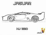 Jaguar sketch template