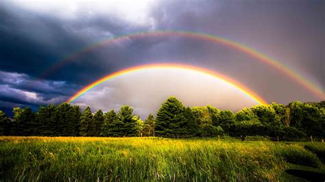 stunning images  rainbows    famous cousins