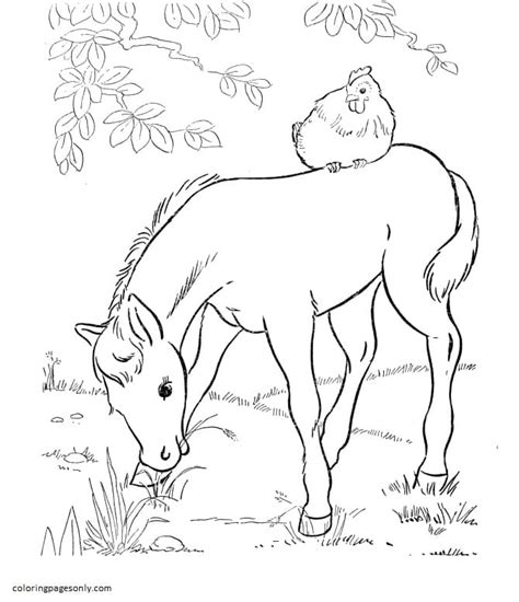 printable farm coloring pages  adults find   color