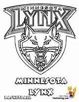 Wnba Ausmalbilder Lynx Minnesota sketch template