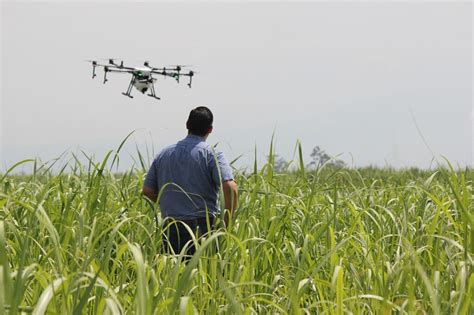 sky  limit  drone technology  agriculture politheor
