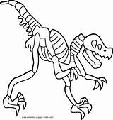 Bones Esqueleto Dinossauros Dinosaurio Dinosaurs Dinossauro Dinosaure Dinosaurios Huesos Invertebrados Gladys Maris Atividade Montar Professora sketch template
