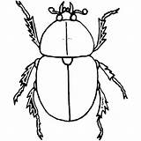 Beetle Dung Escarabajo Beetles Freeprintablecoloringpages sketch template