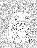 Coloring Pinscher Miniature Pages Getcolorings Pit Stress Color sketch template