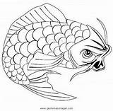 Karpfen Koi Fische Malvorlage Tiere Ausmalen Malvorlagen Dinosaurier Japaneses Carp Gograph sketch template