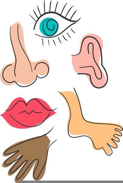 body parts nose clipart free images at
