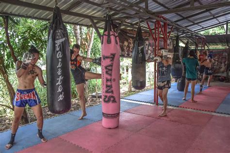 the best muay thai camps in thailand the mma guru