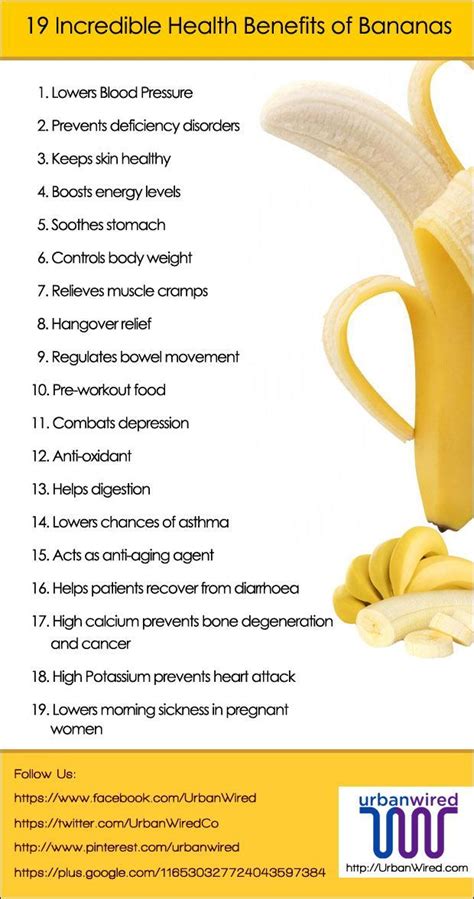 banana health benefits benefits of bananas banana nutrition facts